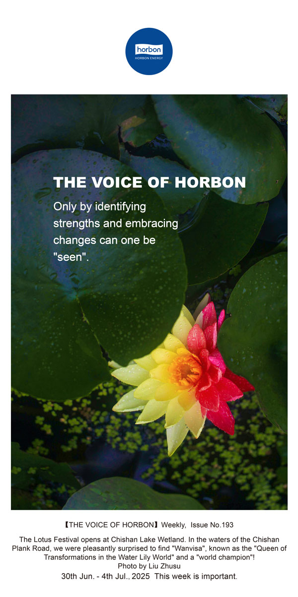 【和之声】找准优势、拥抱变动，能力“被看见”。(总第193期）--2025.6英文导出季度推送用.jpg