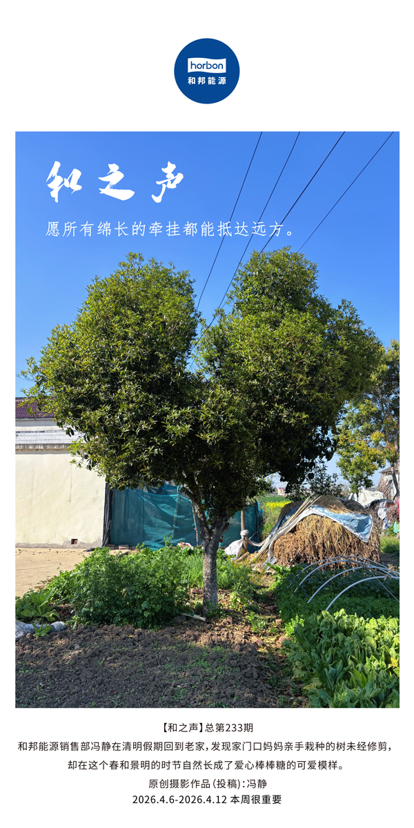 【和之声】愿所有绵长的悬想都能到达远处。(总第233期）-2026.4.6中文导出季度推送用.jpg